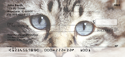 My Point Of View Cat Checks