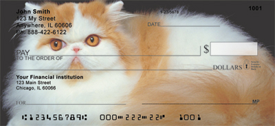 Persian Cats Personal Checks