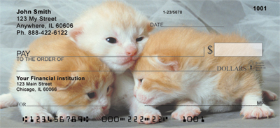 House Cat Kittens Checks