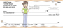 Garden Personal Checks by My Friend Ronnie