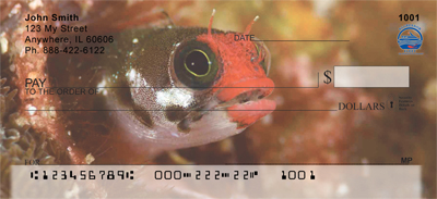 Assorted Fish by Wayne Brown Personal Checks