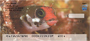 Assorted Fish by Wayne Brown Personal Checks