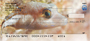 Assorted Fish by Wayne Brown Personal Checks