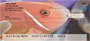 Clown Fish by Wayne Brown Personal Checks