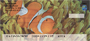 Clown Fish by Wayne Brown Personal Checks