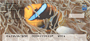 Clown Fish by Wayne Brown Personal Checks
