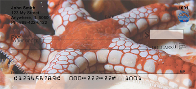 Sea Stars by Wayne Brown Personal Checks