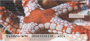 Sea Stars by Wayne Brown Personal Checks