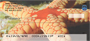 Sea Stars by Wayne Brown Personal Checks