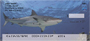 Sharks by Wayne Brown Personal Checks