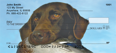 Labradors at Work