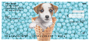 More Gelato Pups Keith Kimberlin Personal Checks 