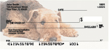 Airedale Terrier Personal Checks