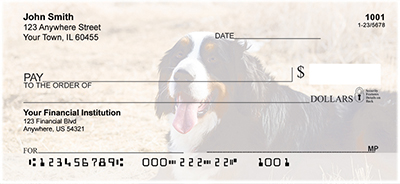 Bernese Mountain Dogs Personal Checks 