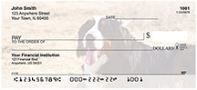 Bernese Mountain Dogs Personal Checks