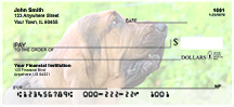 Blood Hound Personal Checks