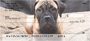 Bullmastiff Personal Checks