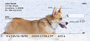 Pembroke Corgi Personal Checks