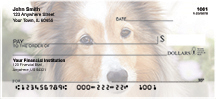 Shetland Sheepdog Personal Checks