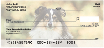 Shetland Sheepdog Personal Checks