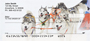 Siberian Husky Personal Checks