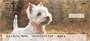 West Highland White Terrier Personal Checks