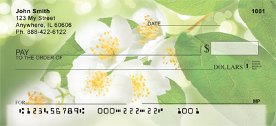 Softer Side of Things Personal Checks