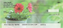 Grow Where You Can Personal Checks