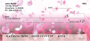Sakura Blossoms Personal Checks