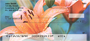 Beauty Within Lilies Personal Checks