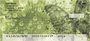 Seamless Green Butterflies Personal Checks