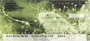 Seamless Green Butterflies Personal Checks