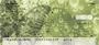 Seamless Green Butterflies Personal Checks