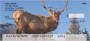 Elk Personal Checks
