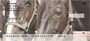 Equine Love Personal Checks