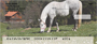 Grazing Freedom Personal Checks