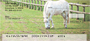 Grazing Freedom Personal Checks