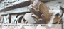 Ancient Stone Carvings Personal Checks