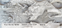 Ancient Stone Carvings Personal Checks