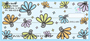 Abundance by Deb Eiseman Personal Checks