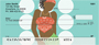 Solo Divas by Jesse Vargas Personal Checks