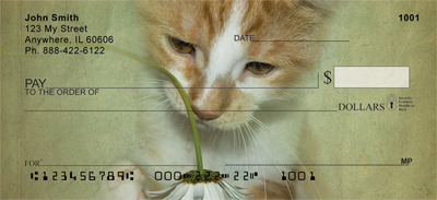 ention on this Tabby cat playing with a daisy.