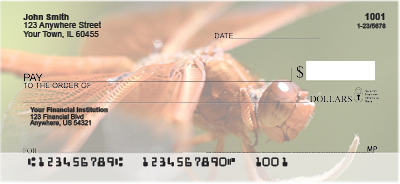 l directions. These close up views show the beautiful details of dragonflies.