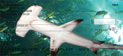 Shark Infested Waters