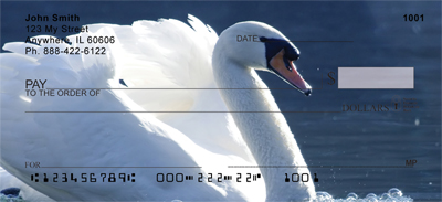 Swan Splendour