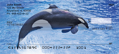 Killer Whales