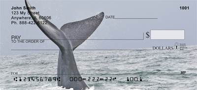 Whale Tails Checks