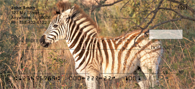 Zebras and Babies Checks