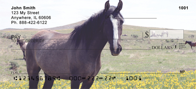 Spanish Mustang Checks