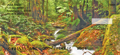 Fern Forest